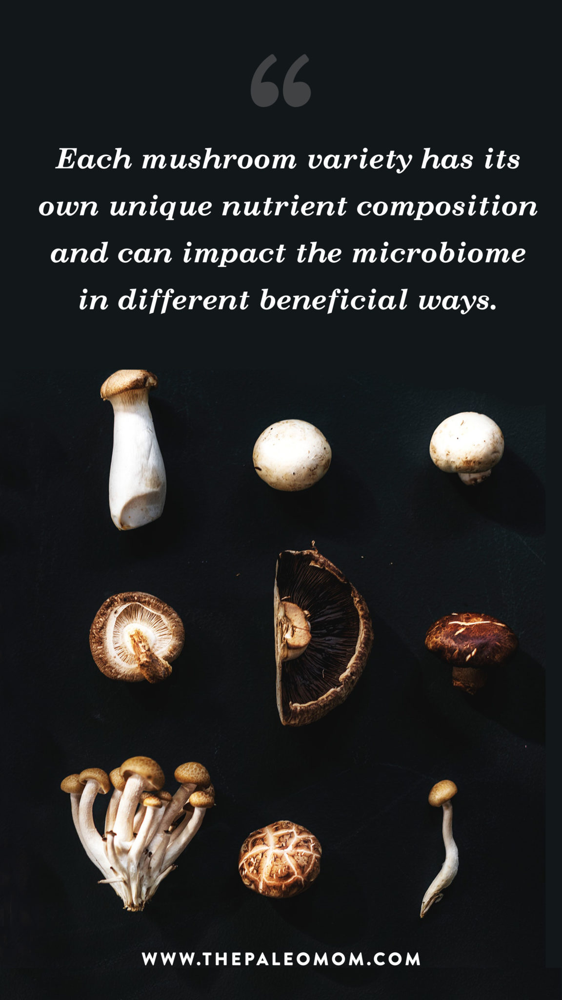 Each mushroom variety has its own unique nutrient composition and can impact the microbiome in different beneficial ways.