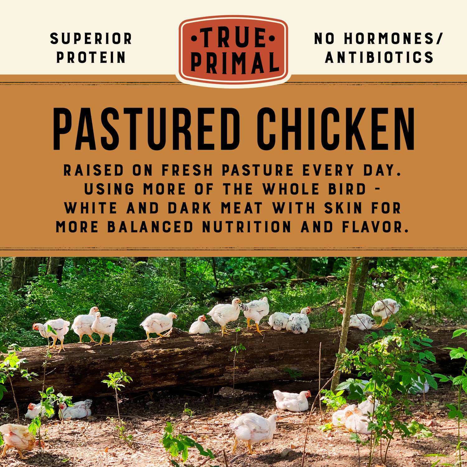 chickens grazing among trees and shrubs, with title text: pastured chicken